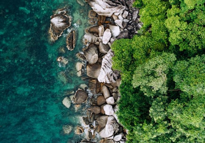 aerial photography of beach shore